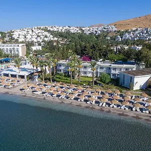 Otel Ladonia Mio Mare, Akyarlar